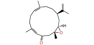 Leptodienone A